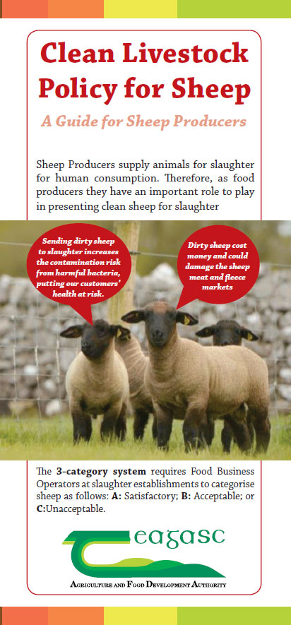 Clean Sheep Policy: A Guide for Sheep Producers