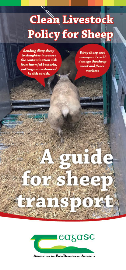 Clean Livestock Policy for Sheep: A Guide for Sheep Transport