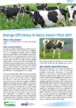 Energy Efficiency in Dairy Sector Pilot 2017