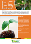 Plant Propagation Course – QQI Level 5 (Component Award)