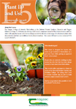 Plant ID and Use – QQI Level 5 (Component Award)