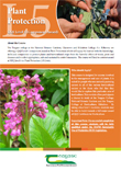 Plant Protection – QQI Level 5 (Component Award)