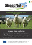 SheepNet