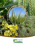 National Tillage Conference Proceedings 2017