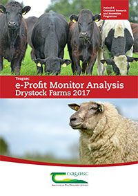 e-Profit Monitor Analysis – Drystock Farms 2017