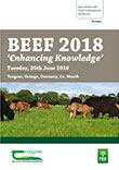 Beef 2018