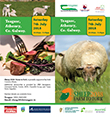 Sheep 2018 Farm to Fork