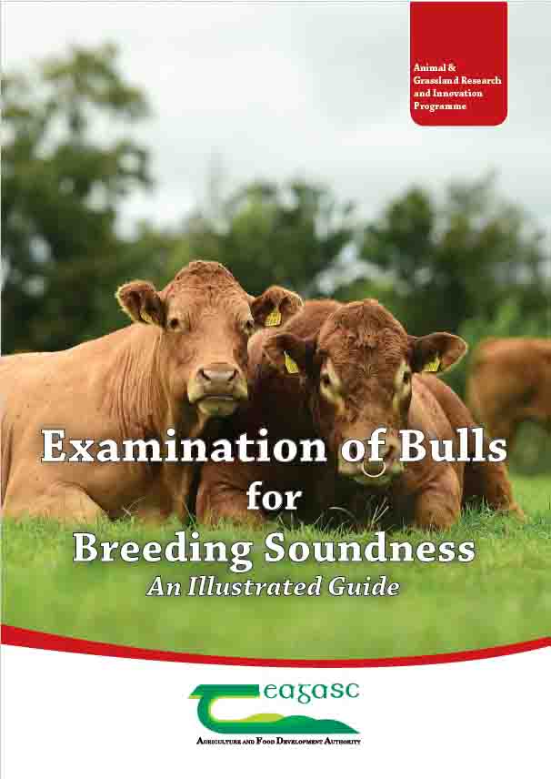 Examination of Bulls for Breeding Soundness An Illustrated Guide