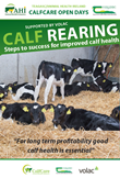 Calf Rearing – Steps to success for improved calf health