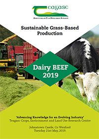 Dairy BEEF 2019