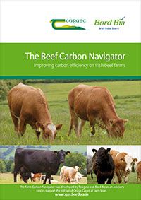 The Beef Carbon Navigator