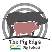 The Pig Edge Podcast