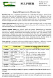 Sulphur Requirements for Brassica Crops
