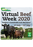 How to achieve high performance in a dairy calf-to-beef system