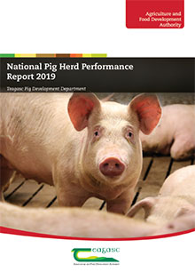 National Pig Herd Performance Report 2019
