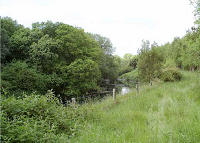 Farm Forests – Delivering on Biodiversity and Water Quality