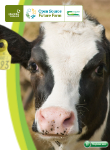 Breeding Webinar with Francis Nolan