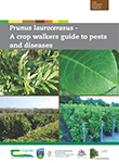 Prunus laurocerasus – A crop walkers guide to pests and diseases