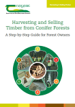 Harvesting and Selling Timber from Conifer Forests