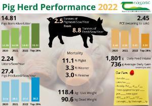 National Pig Herd Performance 2022 Infographic