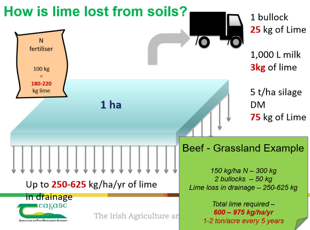 Diagram - How is Lime lost from soils?