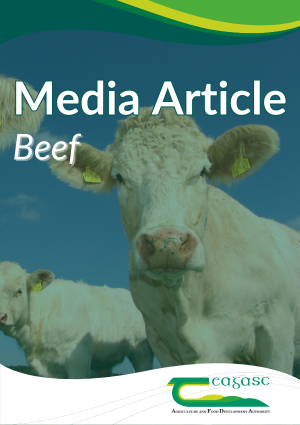 Quality Beef Breeding: Where Passion Meets Science