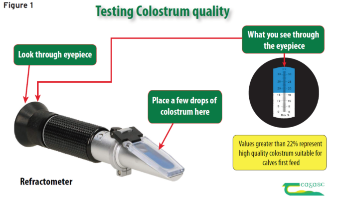 Guidance on how to use a refractometer: look through the eye piece, place a few drops of colostrum on the tip, values greater than 22% represent high quality colostrum suited for calves first feed