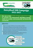 DairyBeef 500 Campaign 2022-2027
