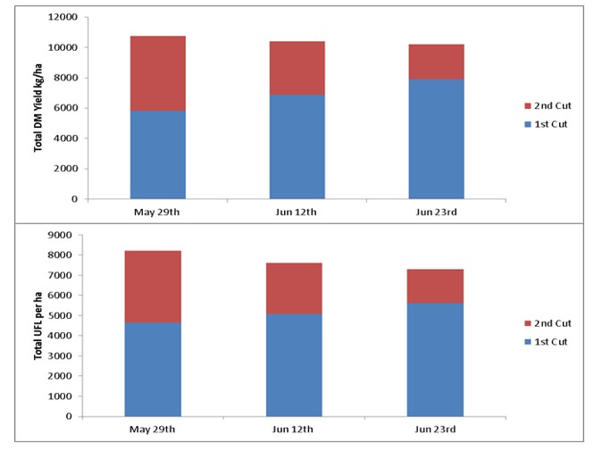 Bar chart showing the effect of cutting date on silage yield and energy density on a two cut system. As date progresses, yield and energy density declines