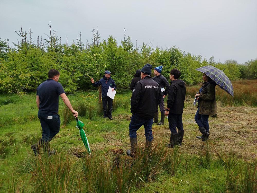 New Scheme has Kilconnell Forestry Back in the Spotlight
