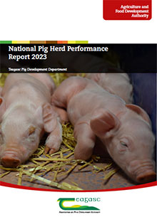 National Pig Herd Performance Report 2023