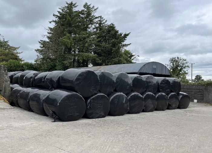 Silage – One of farms largest cost and greatest asset for winter ahead