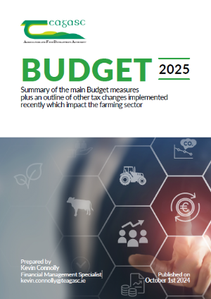 Budget 2025 Summary