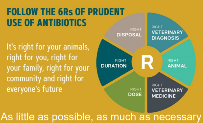 Graph showing info for prudent use of antibiotics