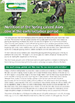 Nutrition of the Spring calved dairy cow in the early lactation period
