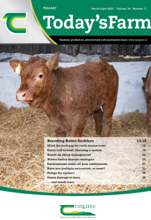 Today’s Farm – March/April 2025