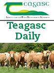Dairy Beef Index