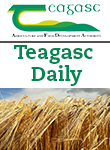 Tillage Update June 25th