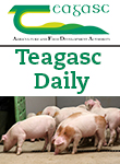 Teagasc Pig Research Facility Update – 25 June