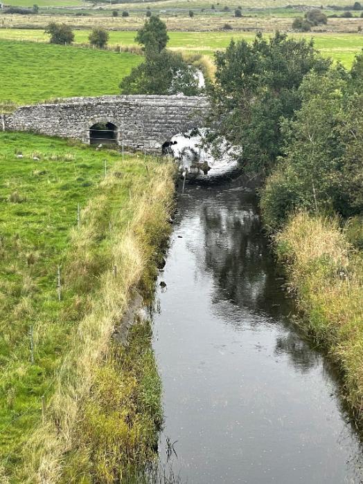 Dooyertha River, Kiltullagh, Athenry, Co. Galway