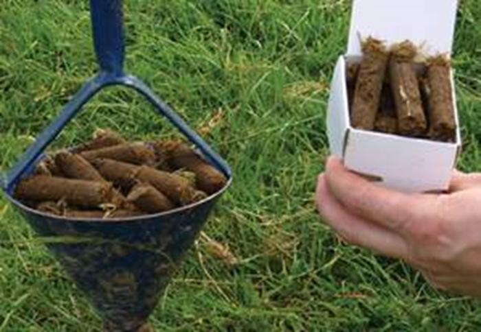 Soil Sampling