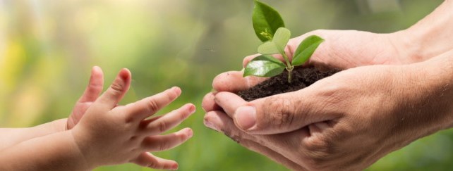 Succession and Inheritance
