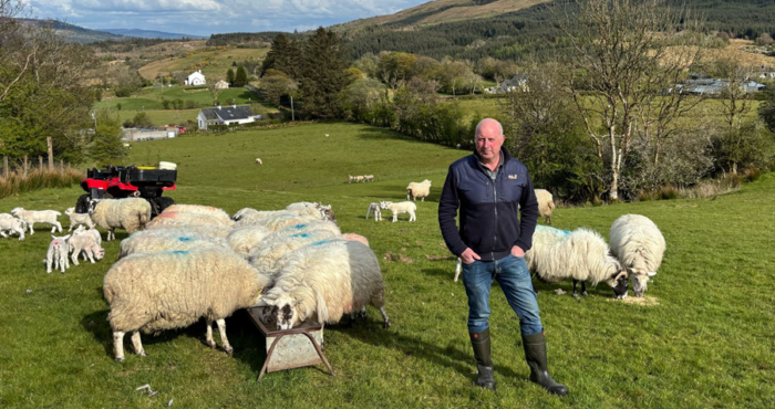 Cover image for Diary date: Lowland and hill sheep Growing Organics walk article