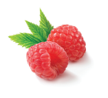Fresh Raspberry Production Body Image 1