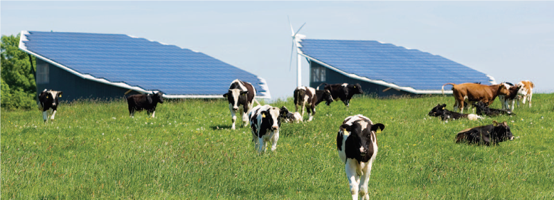 Dairy Farm Energy Banner Image