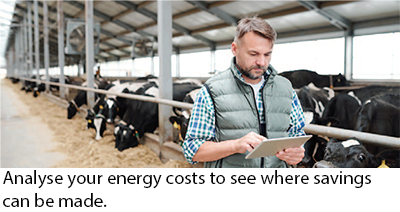 Dairy Farm Energy Caption Image