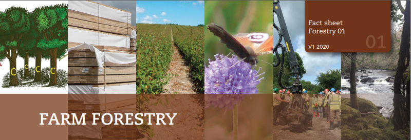 Farm Forestry Banner Image