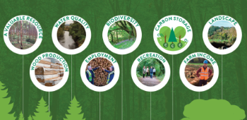 Farm Forestry Image