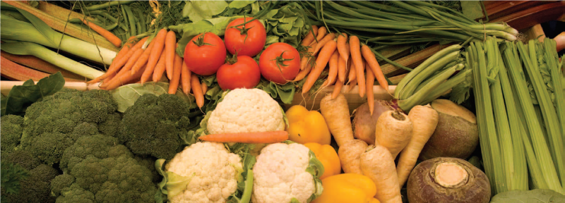 Field Vegetable Production banner image