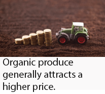Organic Cereals Caption Image